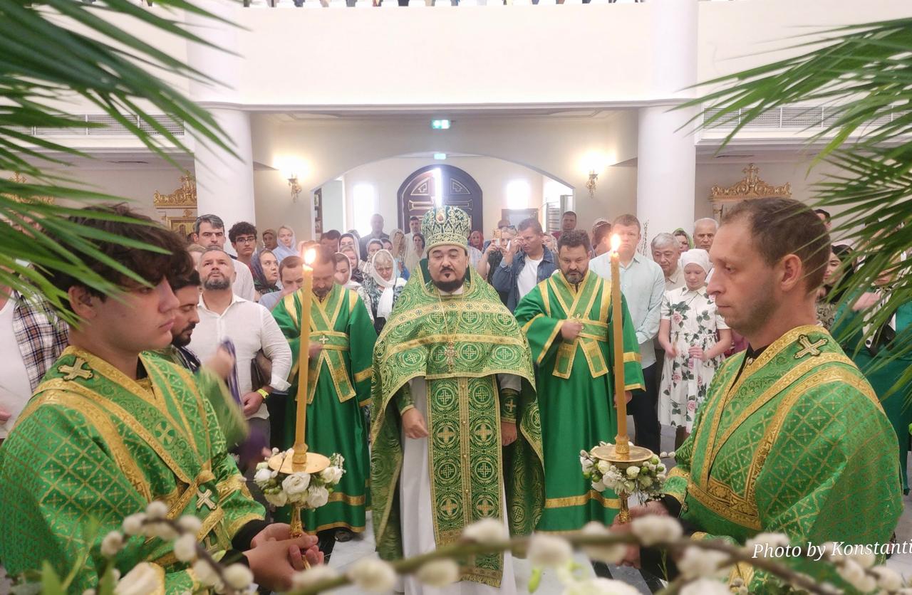 Праздник Входа Господня в Иерусалим (Вербное воскресенье).